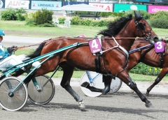 Ugly Duckling 160621-4